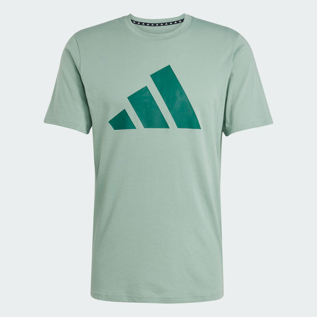 Silver Green/Collegiate Green