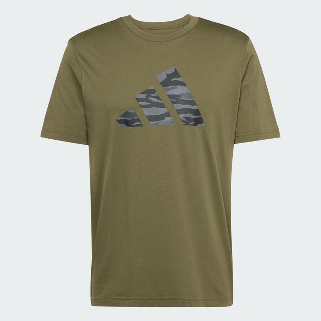 Olive Strata